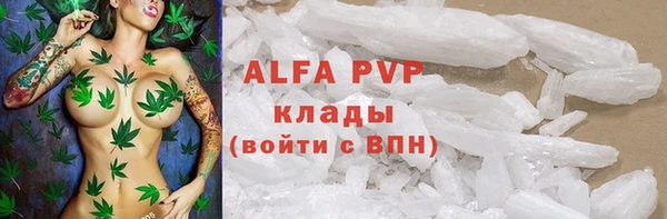 твердый Богданович