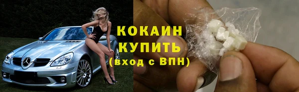 твердый Богданович