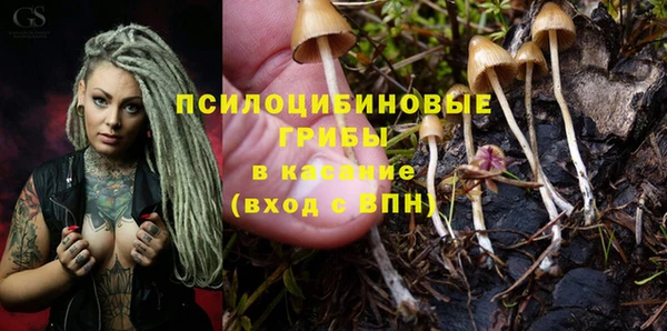 МДМА Бутурлиновка