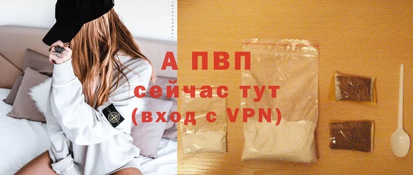твердый Богданович