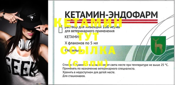 твердый Богданович