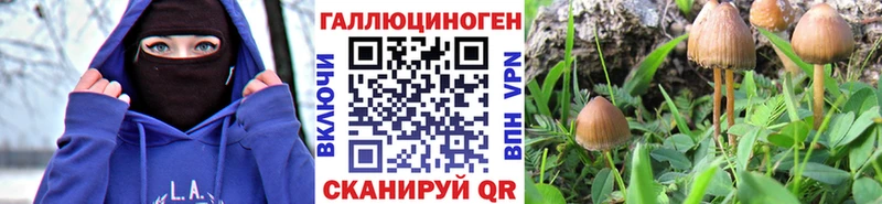 Псилоцибиновые грибы мухоморы Козьмодемьянск