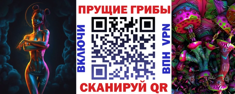 shop официальный сайт  Козьмодемьянск  Псилоцибиновые грибы GOLDEN TEACHER 