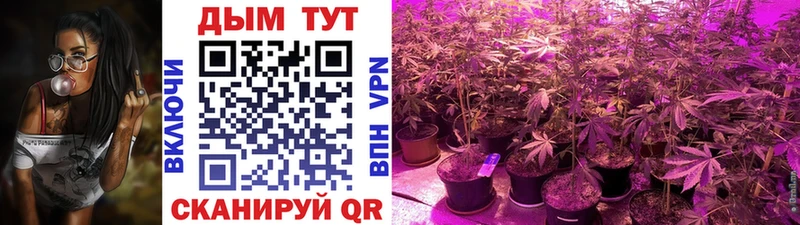 Бошки Шишки марихуана Козьмодемьянск